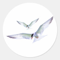 Turn Tern Turn stickers