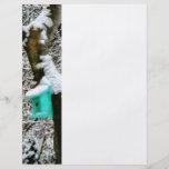 Turquoise Birdhouse in Winter Flyer