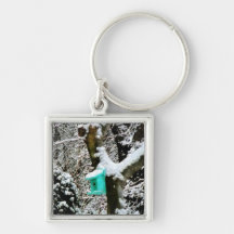 Turquoise Birdhouse in Winter Key Chains