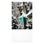 Turquoise Birdhouse in Winter Photo Greeting Card