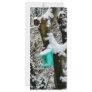 Turquoise Birdhouse in Winter Full Color Rack Card