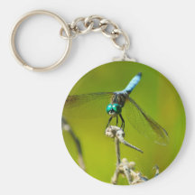 Turquoise Dragonfly Key Chains