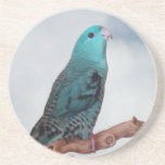 Turquoise linnie drink coaster