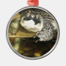 Turtle Christmas Ornament