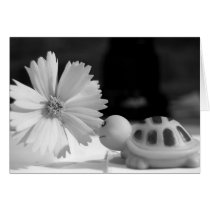 Turtle & Flower Greeting Cards