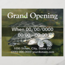 Turtle Flyer Design