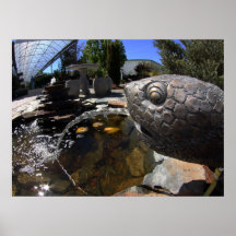 Turtle Fountain Poster