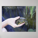 Turtle, hand, and pond poster