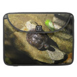 Turtle in the Sun MacBook Pro Sleeve