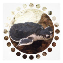 Turtle Invitation