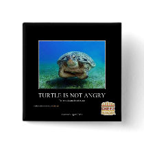 Turtle Is Not Angry Pinback Buttons