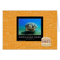 Turtle Is Not Angry Card