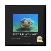 Turtle Is Not Angry Magnet