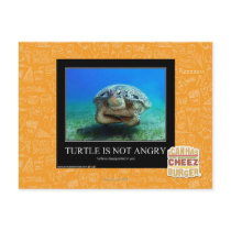 Turtle Is Not Angry Postcards