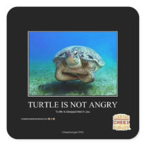 Turtle Is Not Angry Stickers