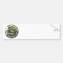 Turtle on a Rock Bumper Sticker