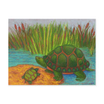 Turtle Pals Post Card