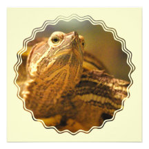 Turtle Photo Invitatin Custom Invite