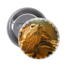 Turtle Photo Round Button