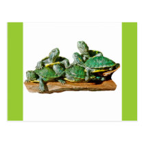 Turtle Picture postcards