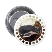 Turtle Round Button