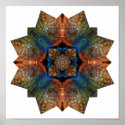 Turtle shell and blue jay collage - Print
