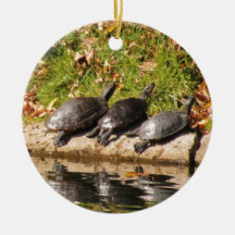 Turtle Talk Christmas Ornaments