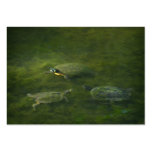 Turtle Trio ATC Card Business Card Template