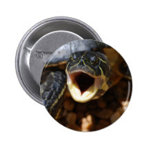 Turtle with Mouth Open Button