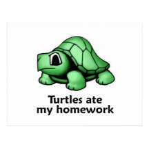 Turtles ate my Homework Postcard