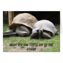 turtles greeting cards