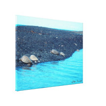 Turtles of Kiholo Bay Hawaii scenic canvas print