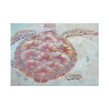 Turtles on Canvas Canvas Prints