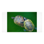 Turtles photo card