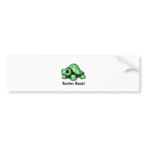 Turtles Rock!
