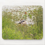 Turtles Sunbathing Mouse Pads