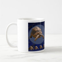 Turtles Tazas De Café