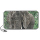 Tusked Elephant  Portable Speakers