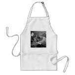 Tuskegee Airmen 332nd Fighter Group Pilots Aprons