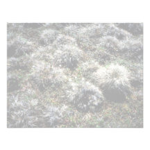 Tussocks Personalized Invite