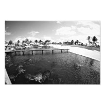 TUTRLE LAGOON PHOTO ART