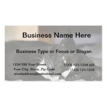 tuxedo cat black and white lying down one eye open business cards