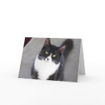 Tuxedo Cat Greeting Card