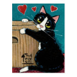 Tuxedo Cat in Love with Box Postcard postcards