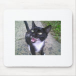 tuxedo cat mouse pads