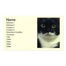 Tuxedo Kitty Business Cards