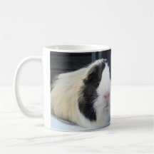 twee schattige cavia's mok