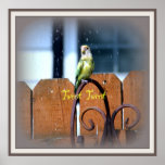 Tweet Tweet Poster