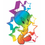 Tweety Rainbow Stars t-shirts