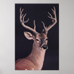 Twelve Pointer Poster